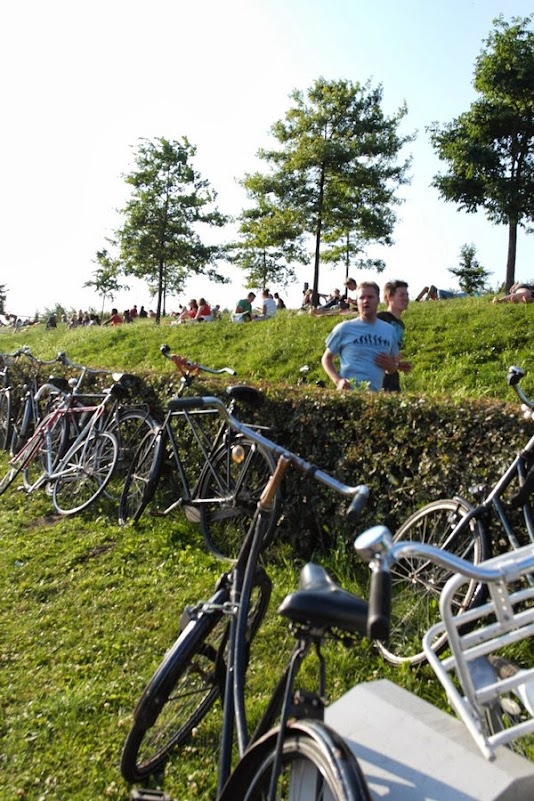  Wester Park, il parco democratico