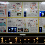 Meguro Parasitological Museum - 目黒寄生虫館 in Meguro, Japan 