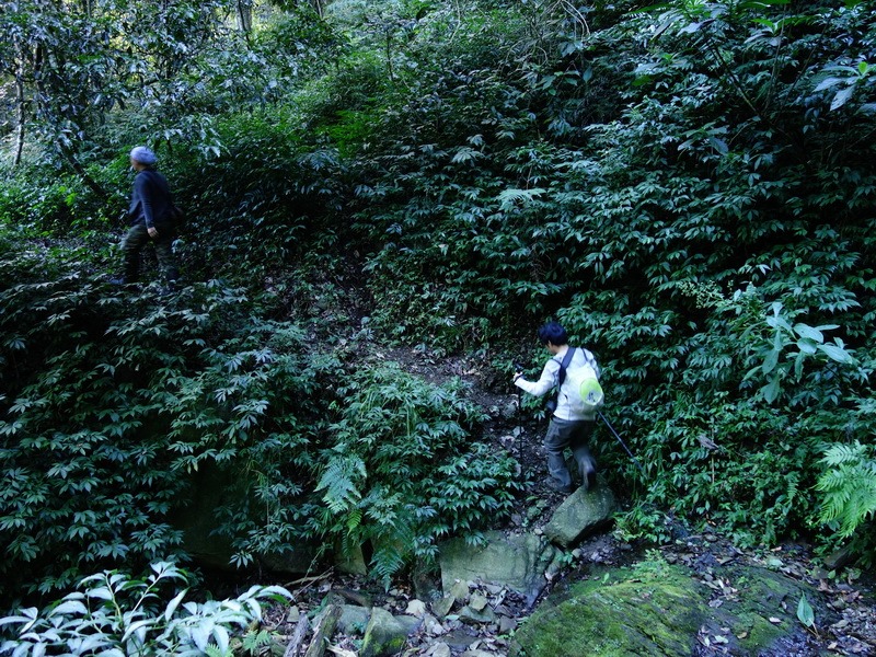 2014_0101-0105 萬山神石、萬山岩雕順訪萬頭蘭山_0546