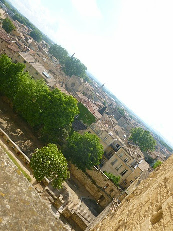 avignon