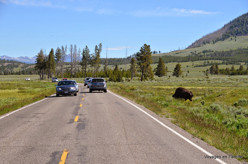 yellowstone