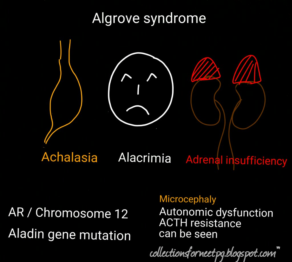 My collections for NEET PG: Allgrove Syndrome