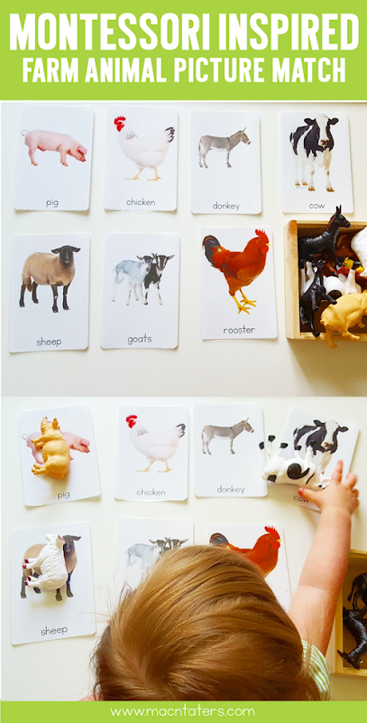 Montessori Inspired Farm Animal Picture Matching Activity: Find out what the pictures are made from. 