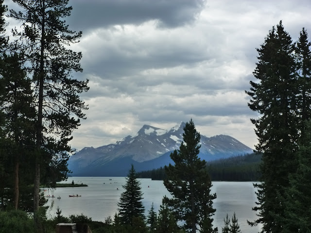 Jasper. Cañón Maligne, lagos Medicine, Maligne,  Patricia y Pyramid. 6 de Julio - LAS ROCOSAS DE CANADA. YELLOWSTONE Y GRAND TETON. (22)