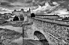 1 maggio 2014 Vesime. Loazzolo e Canelli - fotografia di Vittorio Ubertone