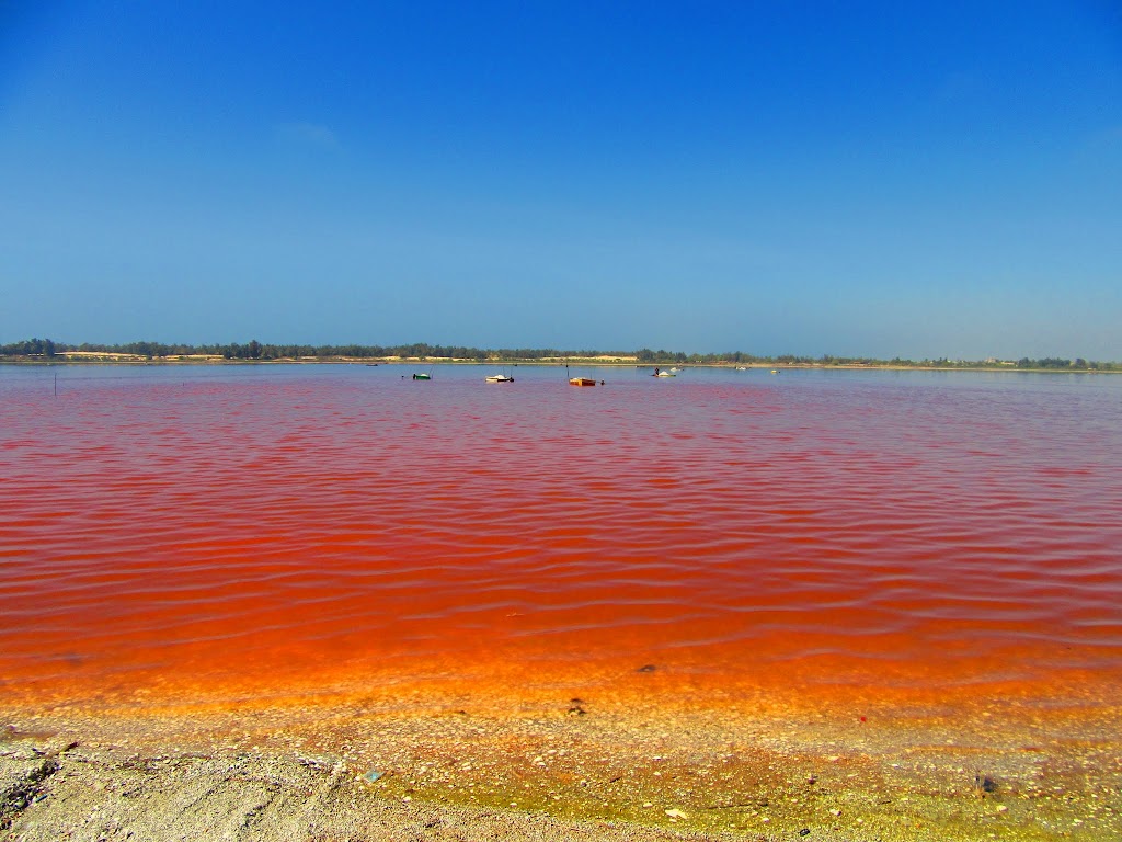 セネガル 鮮やかな バラ色の湖 ラックローズに訪れる El Mundo