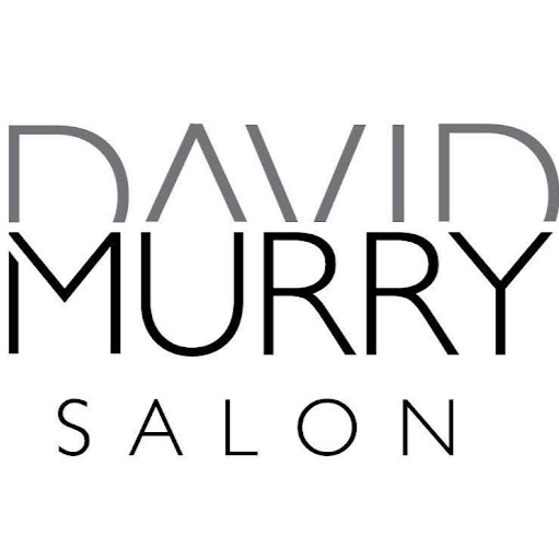 David Murry Salon logo