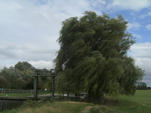 DSCF9474 A breezy day at Houghton lock