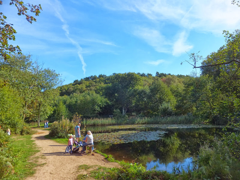 Pond at Kelling Heath