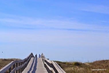 Over the dunes