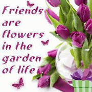 friendship quotes  Icon