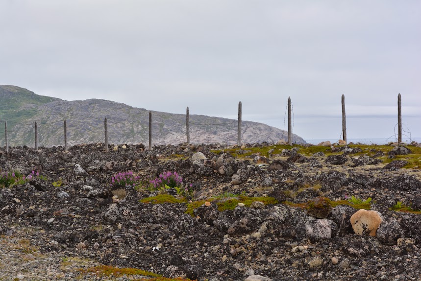 Териберка, немного Мурманска и Североморска.