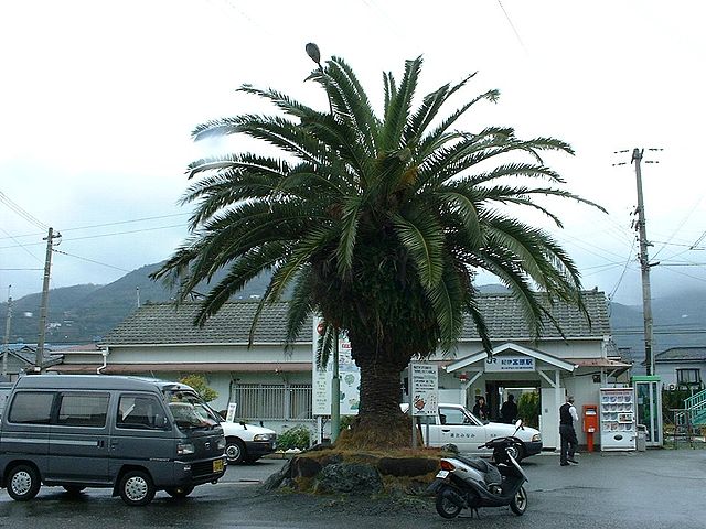 파일:external/upload.wikimedia.org/640px-Kii-Miyahara_stn_1.jpg