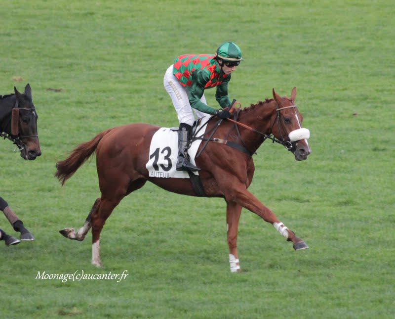 Photos Auteuil 7-11-2015 (48h de l'obstacle) IMG_6656