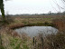 Pond near Fordley