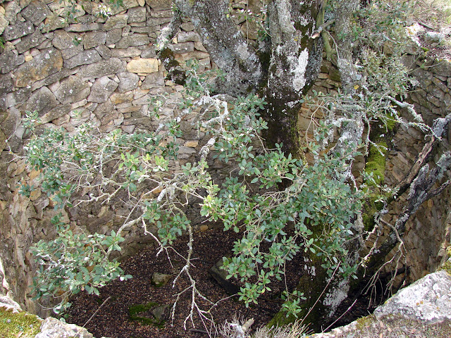 senderismo - Peñarroya de Tastavins - Salt de Ferri - Roques de Masmut