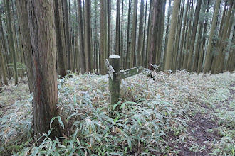 桜峠（近道）分岐