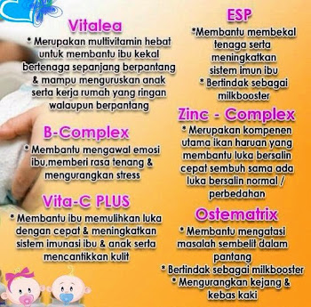 Set Berpantang Shaklee, Pengedar Sah Shaklee, vita lea, Vitamin C, zinc, esp, b complex, ostematrik, 