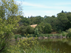 Arastradero Lake