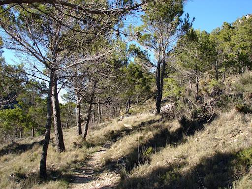 Senderismo: Frares de Quatretondeta - Penya Creus - Serrella - Pla de la Casa - Nevera - Penya La Yedra