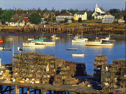 Harbor at Sunrise.jpg