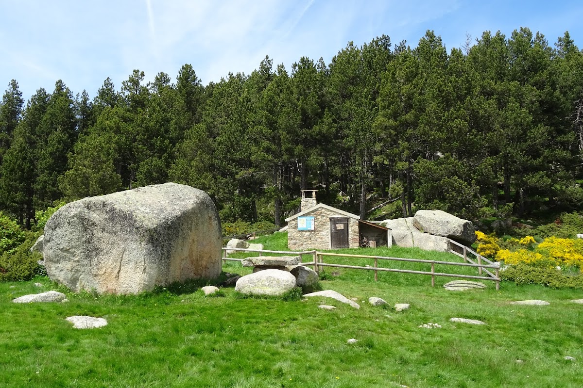 DSC02513.JPG