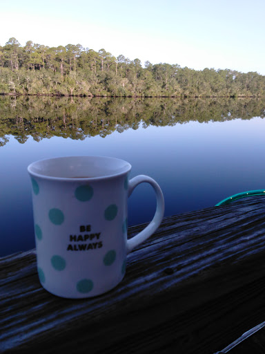 National Forest «Apalachicola National Forest», reviews and photos, Stateroad 13, Sopchoppy, FL 32358, USA