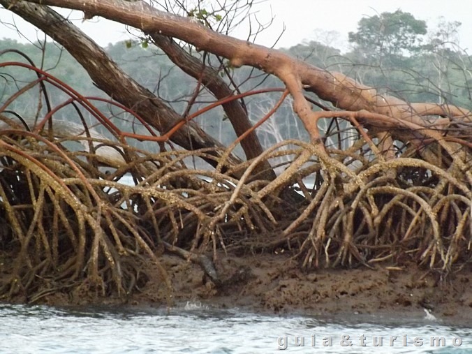 Delta do Parnaíba