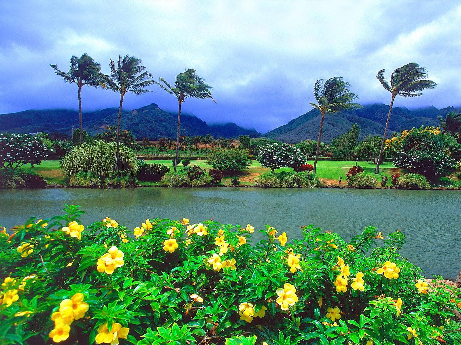 tropical wedding centerpieces