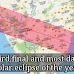 Third,final and most dangerous solar eclipse of the year 2019