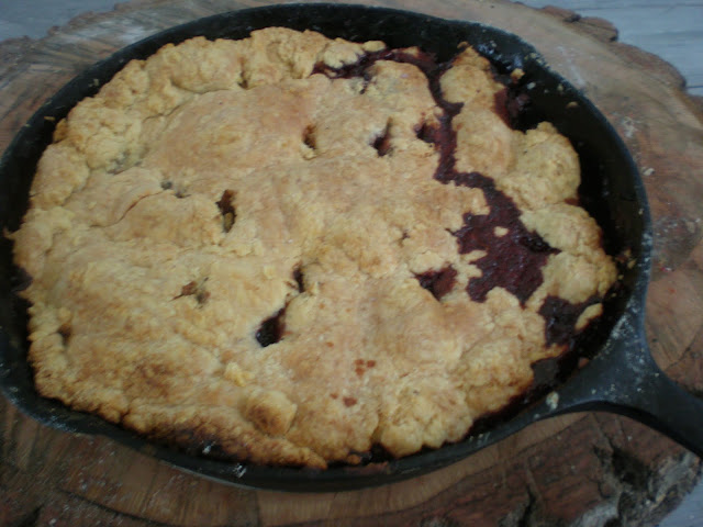 The pan dowdy was entirely consumed by eight people after a rather large dinner.