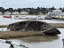 Felixstowe Ferry