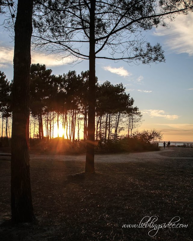 Frankreich Atlantik Reise Arcachon