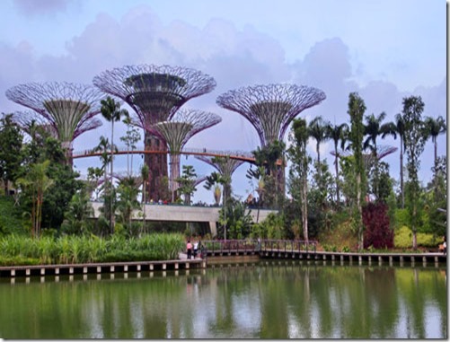 Gardens By The Bay