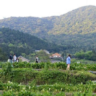 【竹子湖】苗榜花園餐廳