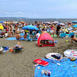 enoshima beach in japan in Fujisawa, Japan 