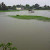 Hujan Yang Mengakibatkan Banjir, Puluhan Hektare Sawah Terancam Gagal Panen