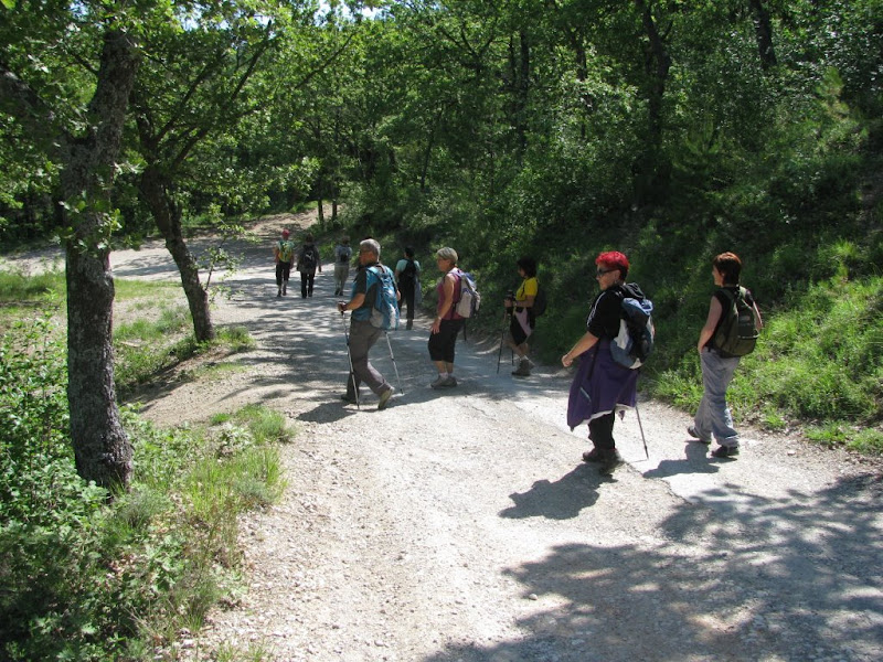 rando a st Jean du Puy  le 6 Juin 2013 IMG_1939