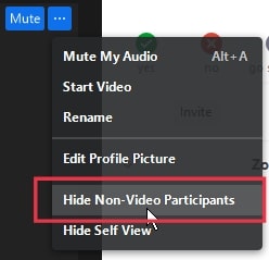 After this, select Hide Non-Video Participants.