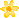 fleurjaune