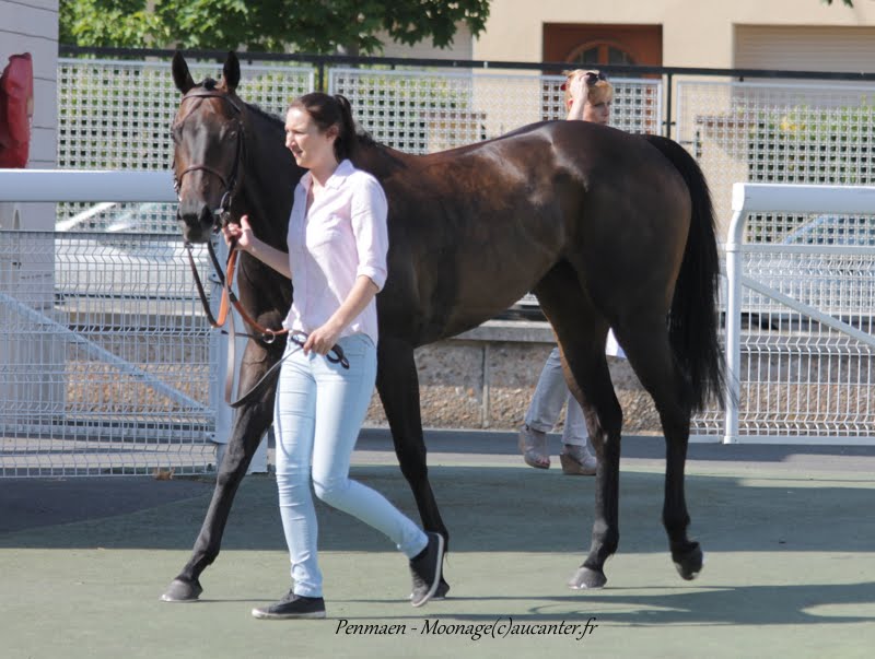 Photos Maisons-Laffitte 5-07-2015 IMG_2525