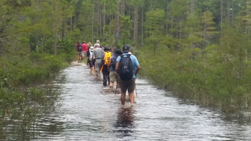 Nature Preserve «Cypress Creek Natural Area», reviews and photos, 10035 W Indiantown Rd, Jupiter, FL 33478, USA