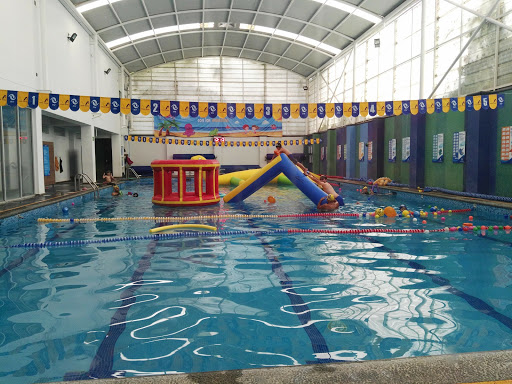 Acuática Nelson Vargas, Av. Benito Juárez 87B, Los Clubes, 52920 San Mateo, Méx., México, Club de natación | EDOMEX