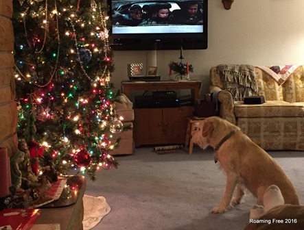 Casey waiting for Santa