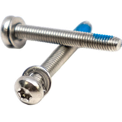 Paul Comp Flat Mount Stainless Mounting Bolts, T-25