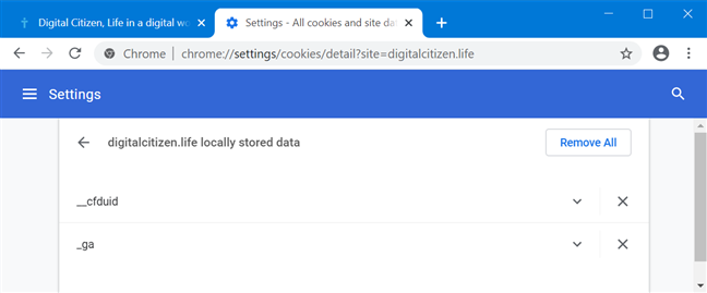 Acceder a las cookies almacenadas por un sitio web específico