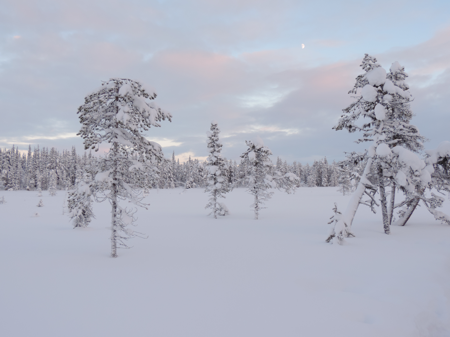 Lannavaara landscape