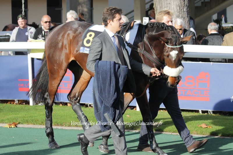 Photos Auteuil 8-11-2015 (48h de l'obstacle) IMG_7089