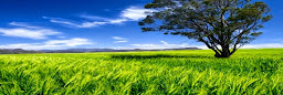 Profile cover photo