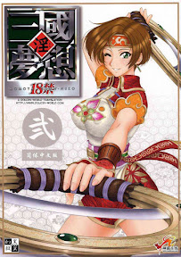 Shin Sangoku Musou 2